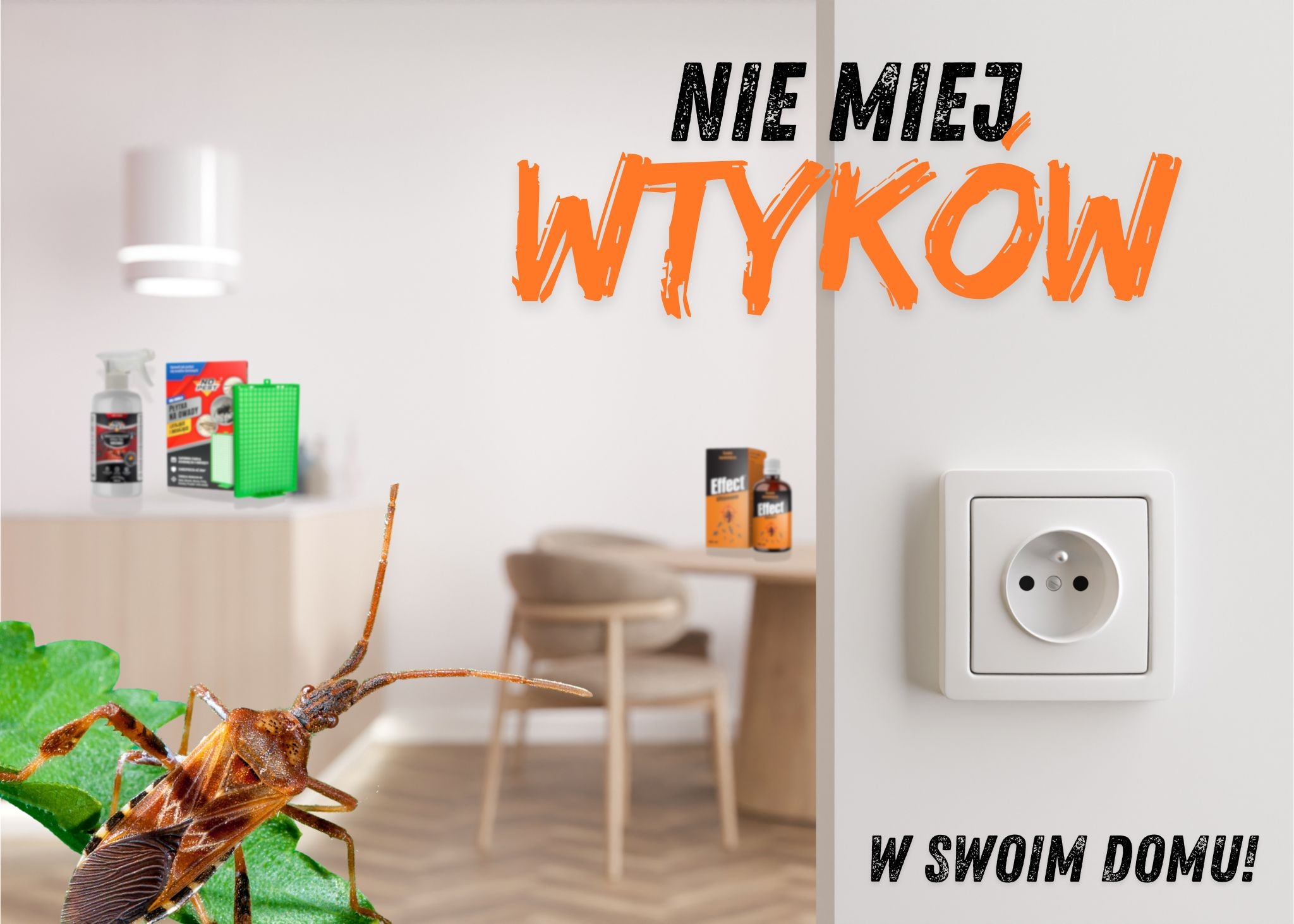 co na wtyka amerykańskiego